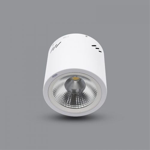 Đèn LED Downlight 30W gắn nổi PSDOO230L30