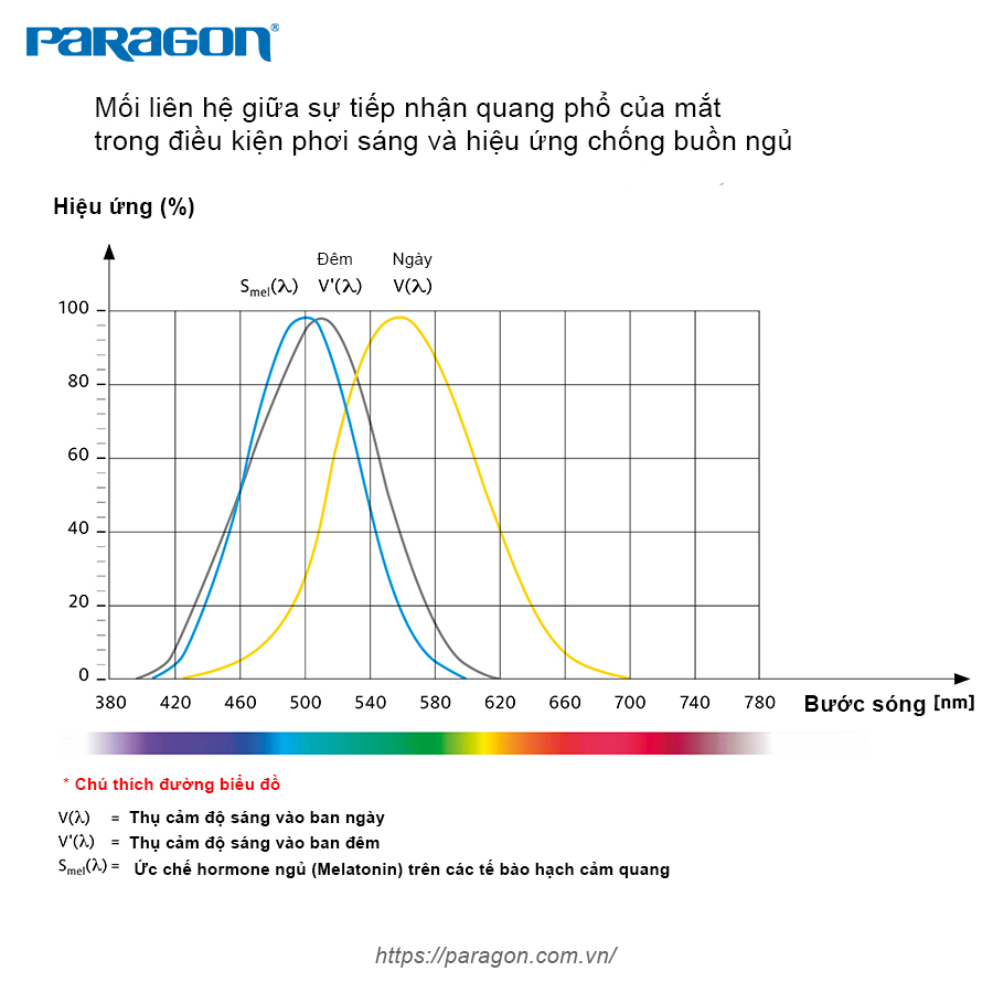 anh-sang-xanh-anh-huong-thi-giac-nhu-the-nao-3