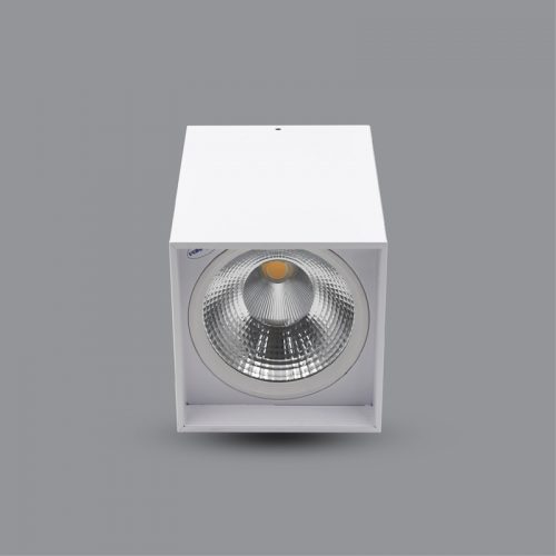 Đèn LED Downlight 20W gắn nổi PSDLL170L20
