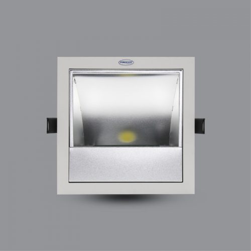 Đèn LED Downlight chiếu tranh 30W âm trần PRDXX176L30