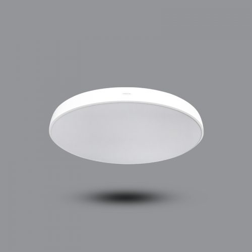 Đèn LED gắn nổi hoặc treo trần PMRB800L78