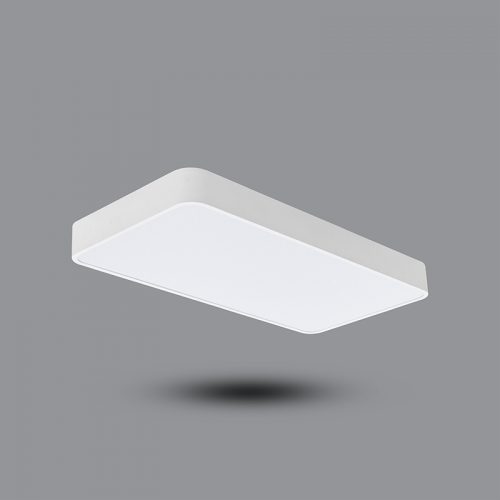 Đèn LED gắn nổi hoặc treo trần PPBA24L6030