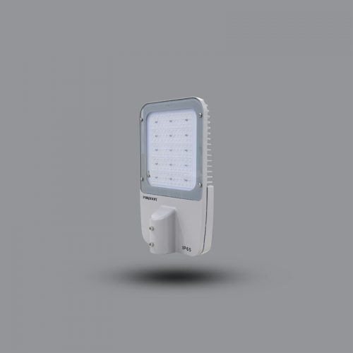 Đèn đường LED PSTM100L