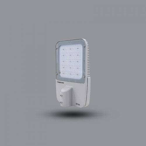 Đèn đường LED PSTM120L