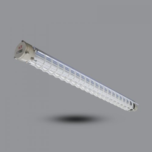 Đèn phòng chống nổ EEW BPY1x36J có Pin dự phòng