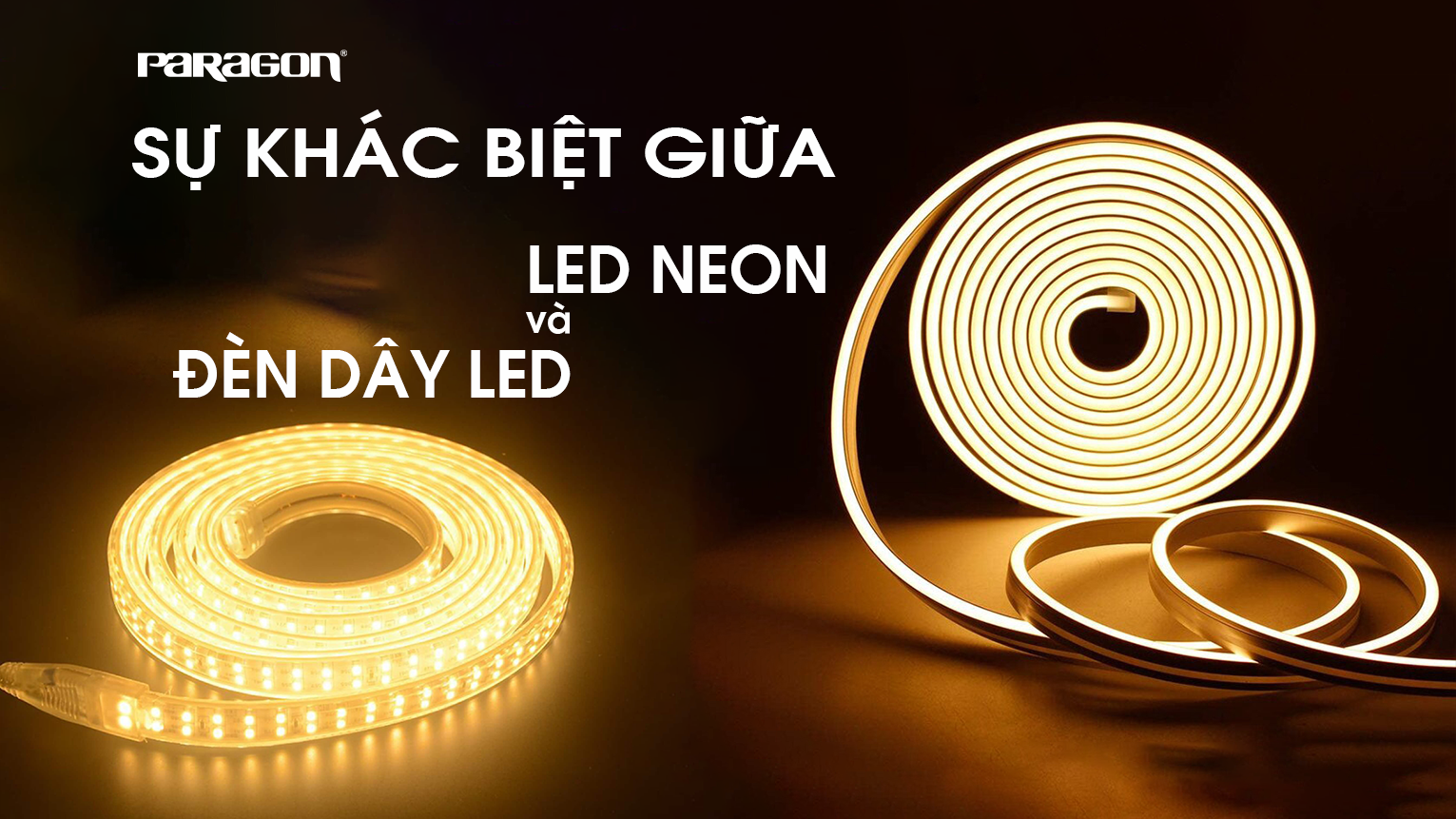 Sự khác biệt giữa LED neon và đèn dây LED như thế nào ? - Paragon